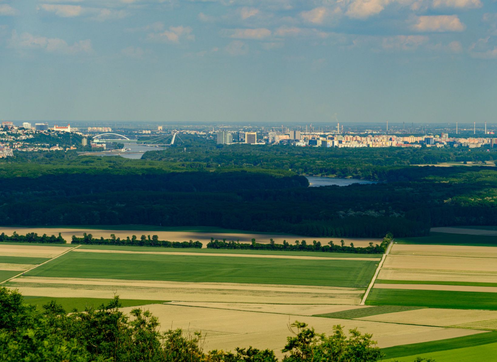 Bratislava from Braunsberg