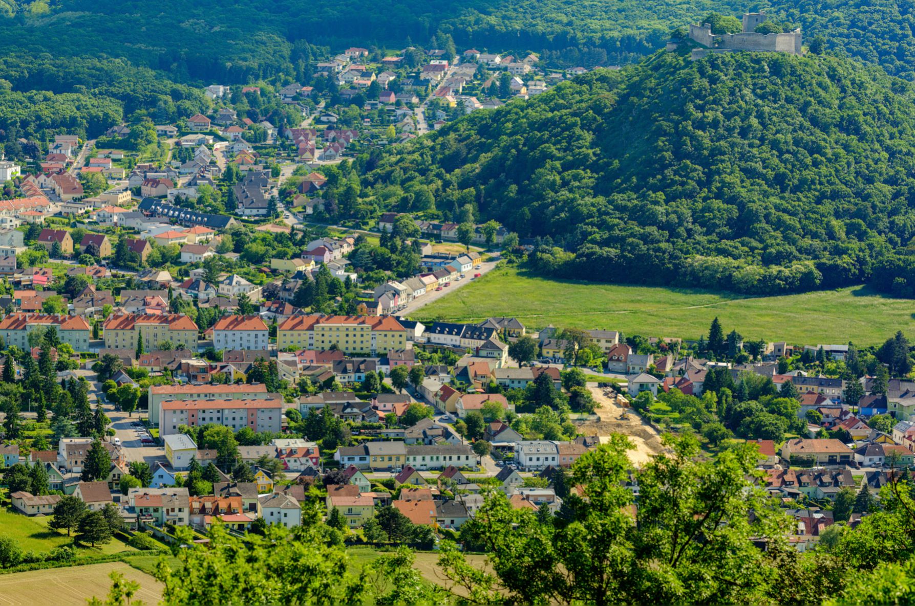 Hainburg from Braunsberg