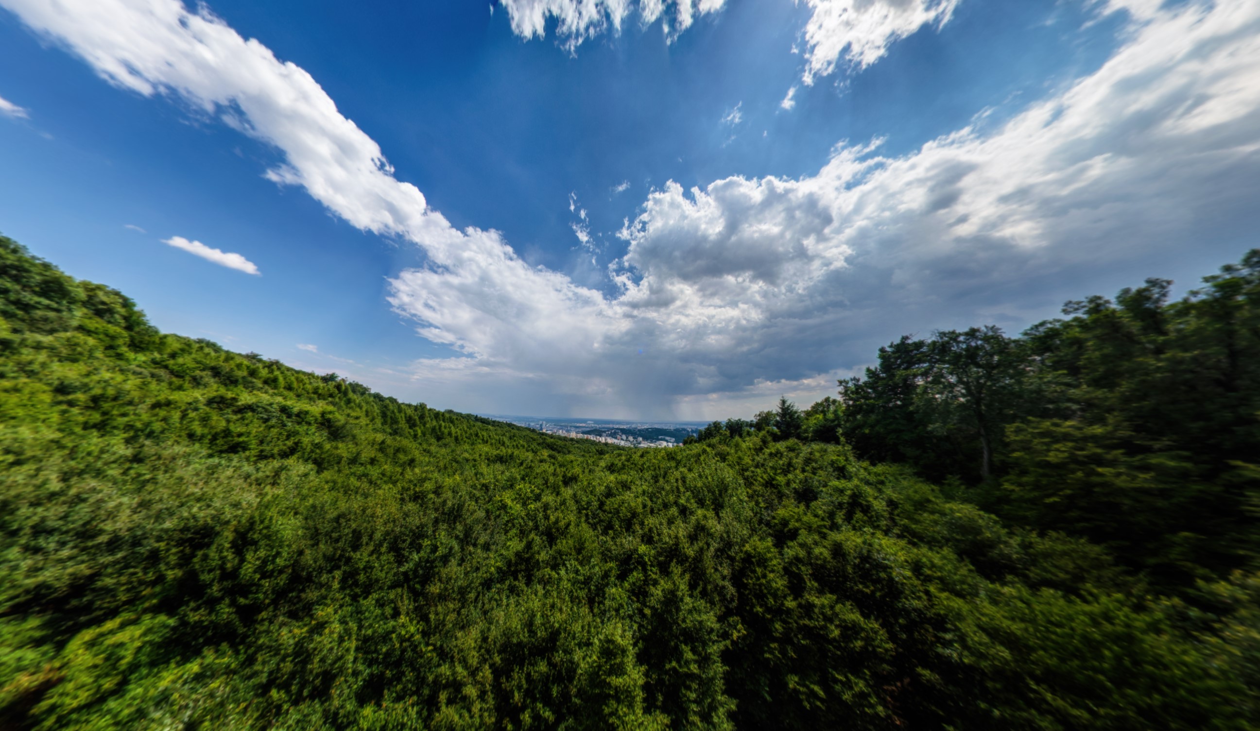 Americká lúka lookout tower
