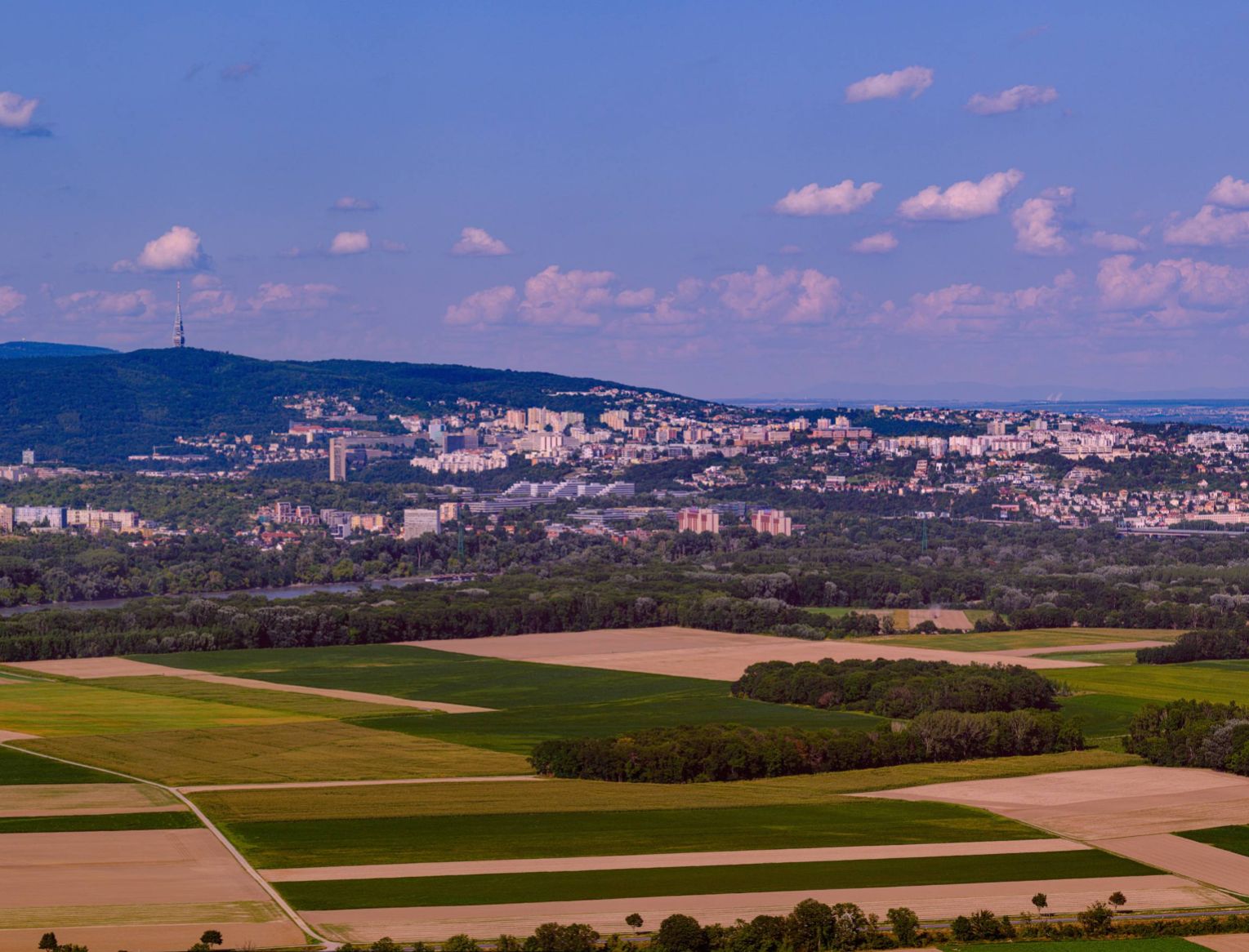 View from the Konigswarte tower