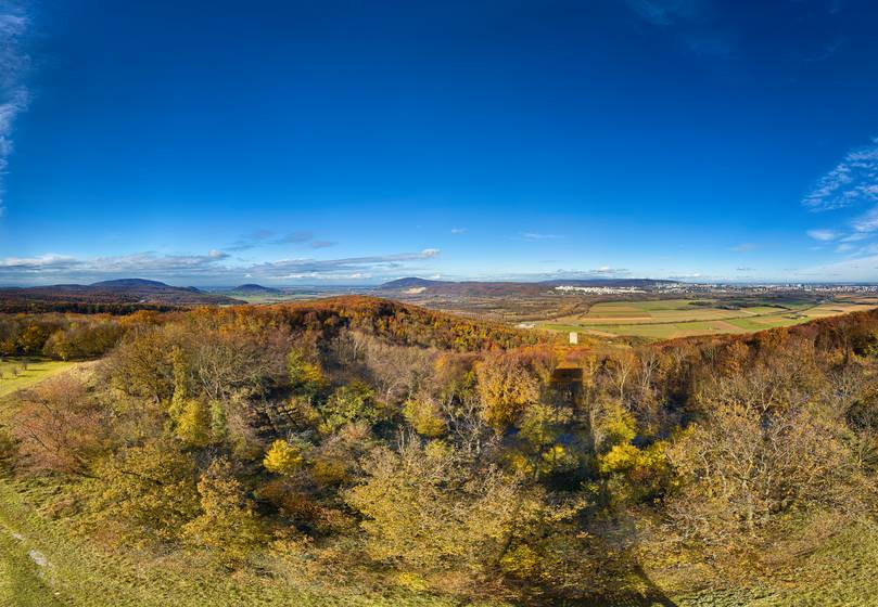 View from Konigswarte
